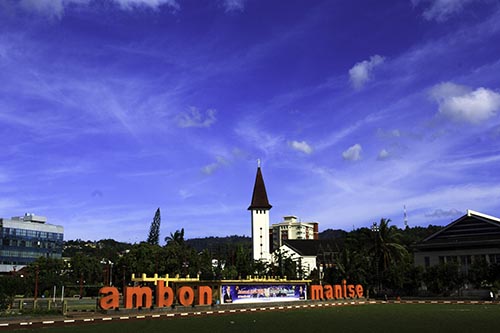 ambonmaniz
