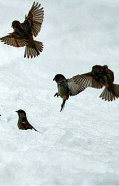 30063030-288-k521091