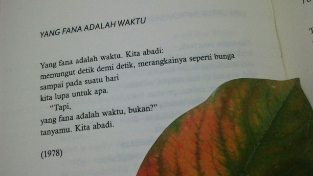 tumblr_o85960FovT1vwv8yao1_640